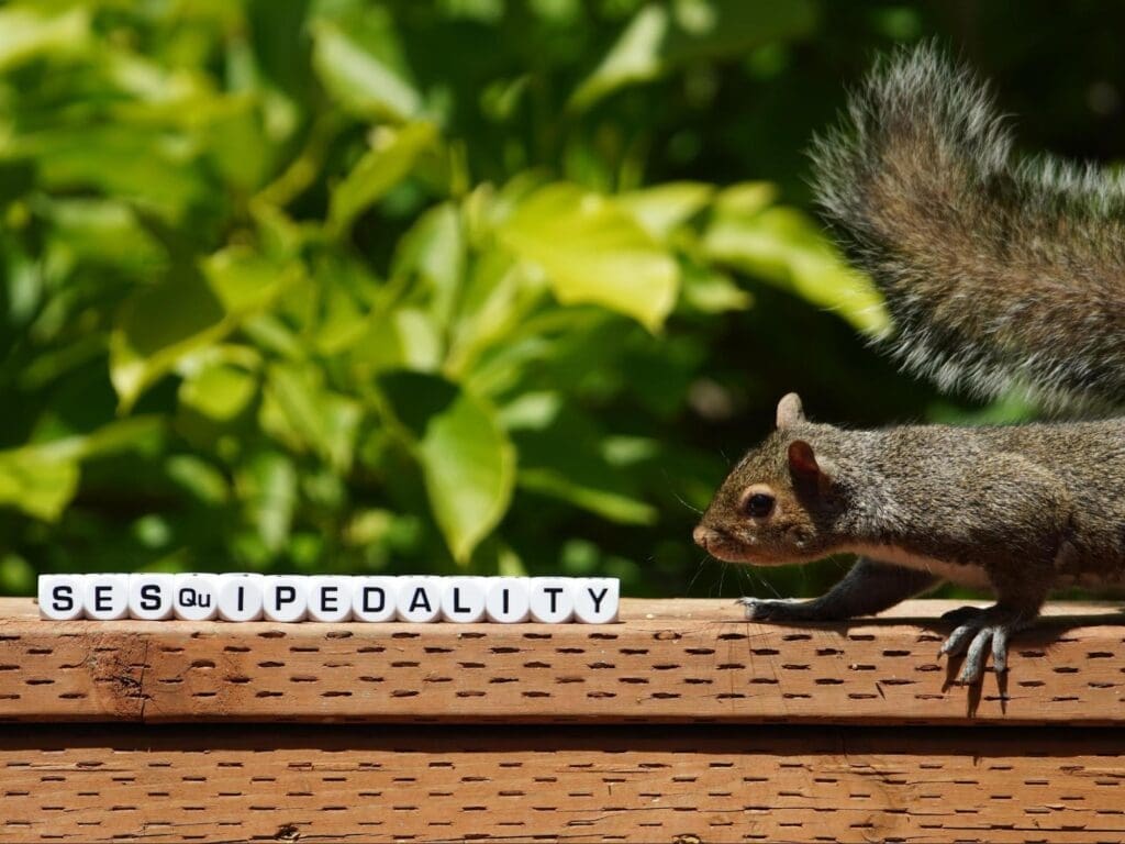 Squirrel near sesquipedality spelled out.